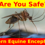 Eastern Equine Encephalitis: A Public Health Concern in New York