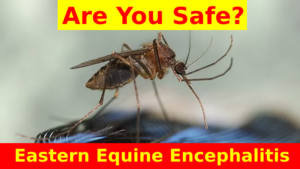 Eastern Equine Encephalitis_ A Public Health Concern in New York